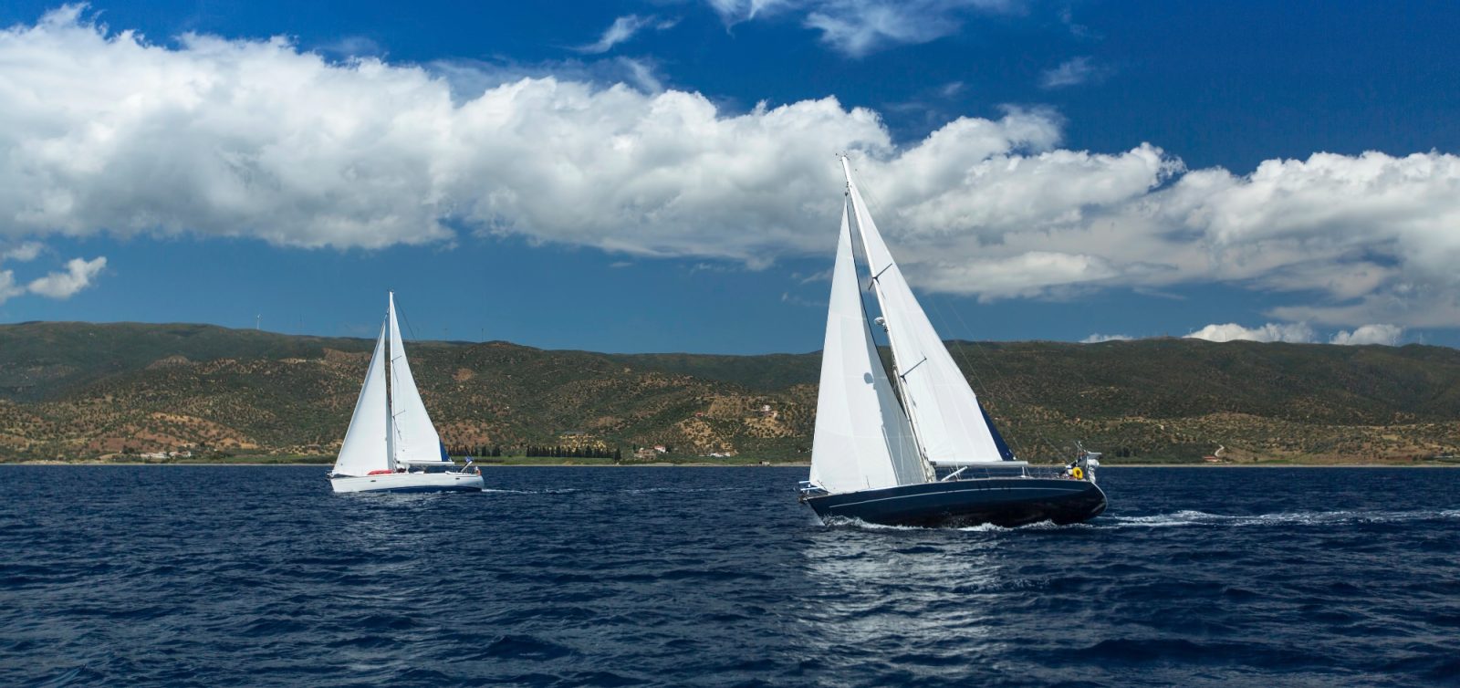 Esplora il mare aperto con vela